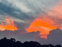 1720533978389.jpeg 1720533978389.jpeg