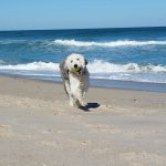 2017-01-26 16.06.00.jpg