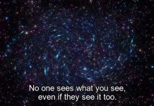 A60B4FA2-E50A-4741-AAE8-1A023A1CEDF5.jpeg A60B4FA2-E50A-4741-AAE8-1A023A1CEDF5.jpeg