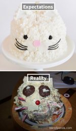 funny-cake-fails-expectations-reality-8-58db6703eaea6__605.jpg