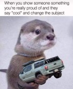 otter.jpg