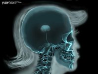 1725833288544.jpeg 1725833288544.jpeg