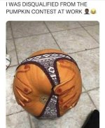 pumpkin2.jpg