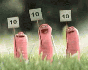 10-rallying.gif