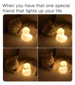 have-one-special-friend-lights-up-life.jpeg