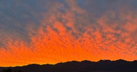 Morning 091724 copy.jpeg