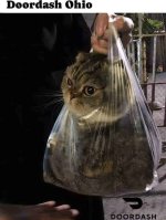 7318f516-1785-4bd8-bac6-216bc2c6a2dc_720x955.jpg 7318f516-1785-4bd8-bac6-216bc2c6a2dc_720x955.jpg