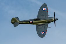 supermarine seafire mk.xvii-4.jpeg