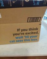 tv-shows-eaming-songs-stening-if-think-excited-wait-til-cat-sees-this-box.jpeg