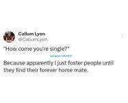 IMG_7101.jpeg IMG_7101.jpeg