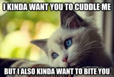 I-Kinda-Want-You-To-Cuddle-Me-But-I-Also-Kinda-Want-To-Bite-You-meme.jpeg