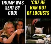 1000014231.jpg 1000014231.jpg