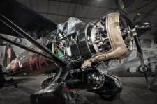 westland lysander-3.jpeg