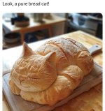 look-pure-bread-cat.jpeg