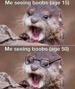otter.jpg