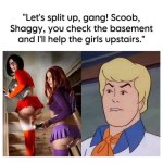 scoob.jpg