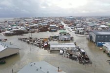 Screen Shot 2024-10-23 at 3.37.52 PM copy.jpg