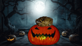 Halloween toad.gif