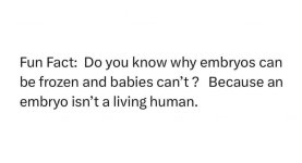 1730067328678.jpeg 1730067328678.jpeg