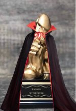 WotW trophy - 27-10-24.jpg WotW trophy - 27-10-24.jpg