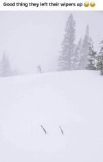 465183643_1150777529949105_3216146166178728251_n copy.jpeg