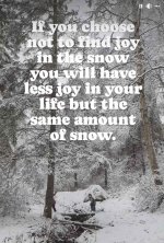 Screen Shot 2024-11-01 at 9.13.52 AM copy.jpg