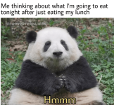 1731620891112.png 1731620891112.png