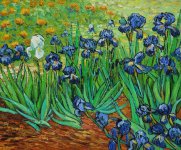 IRISES-1.jpg