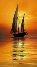 1000018122.jpg 1000018122.jpg