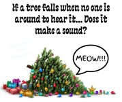 IMG_1028.jpeg IMG_1028.jpeg