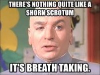 shorn.jpeg shorn.jpeg