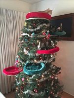 cat-proof-christmas-trees15.jpg