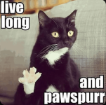 live-long-and-pawspurr.png