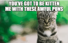 got-be-kitten-with-these-awful-puns.png