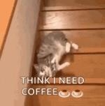 need-coffee-good-morning.gif