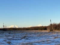 IMG_7885.JPG IMG_7885.JPG