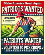 hI4fZqX.jpeg hI4fZqX.jpeg