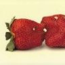 Sweet_Kisses