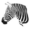 ErrantZebra