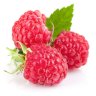 raspberry1