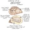 Oyster69