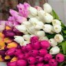 ajeethind