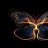 flutterbee