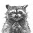 Racoonteur